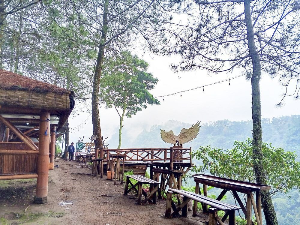 Kopi Ngadas: Di Antara Kabut, Kehangatan, dan Ketimpangan yang Diam-Diam Mengintai