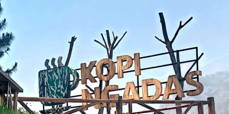 Kopi Ngadas: Di Antara Kabut, Kehangatan, dan Ketimpangan yang Diam-Diam Mengintai
