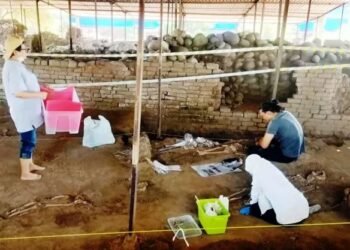 Misteri di Situs Kumitir: Lima Kerangka, Lima Kisah yang Belum Terungkap