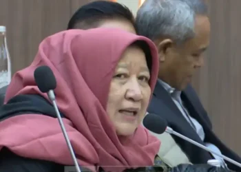 Usulan Baru di Senayan Ganja Halal untuk Terapi Pasien