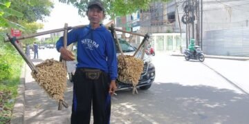 Kacang, Keringat, dan Jalan Panjang Pak Untung