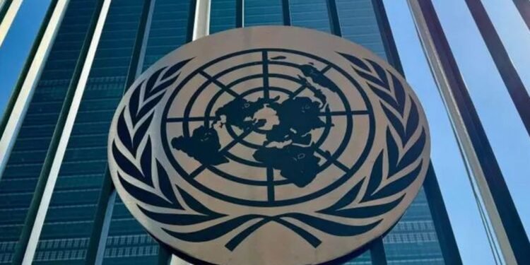 China Pasang Badan, Indonesia Digadang Pimpin Dewan HAM PBB 2026