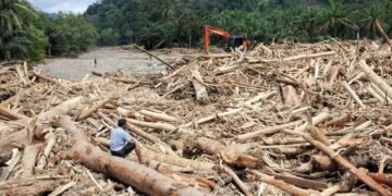 Hutan Hilang, Nyawa Melayang: Bencana yang Sudah Diramalkan