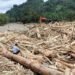 Hutan Hilang, Nyawa Melayang: Bencana yang Sudah Diramalkan