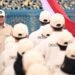 Prabowo Janjikan Bonus Rp 1 Miliar untuk Peraih Emas SEA Games 2025