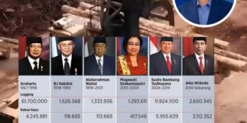 Siapa Paling Banyak Membuka Konsesi Lahan?