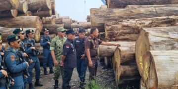 Banjir Sapu Sumatra, Kayu Ilegal Terbawa hingga Dermaga Gresik