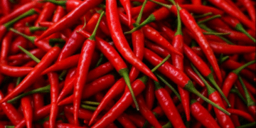 Harga Cabai di Wonosobo Naik 46 Persen Jelang Nataru