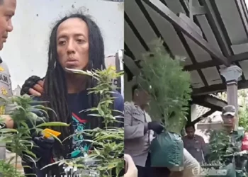 Kontrakan di Jombang Digerebek, Polisi Temukan 110 Batang Ganja