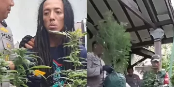 Kontrakan di Jombang Digerebek, Polisi Temukan 110 Batang Ganja