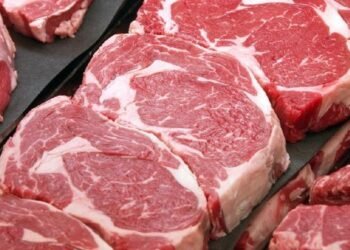 Meltique Beneran Aman atau Cuma Tipu Lidah?