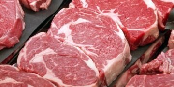 Meltique Beneran Aman atau Cuma Tipu Lidah?