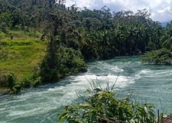 Biru yang Tersesat di Tengah Lumpur