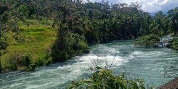Biru yang Tersesat di Tengah Lumpur