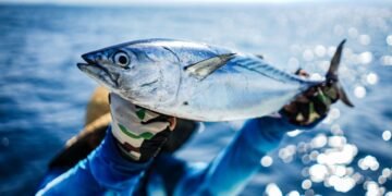 Bukan Sekadar Ikan: Tuna Rp 54 Miliar Jadi Simbol Gengsi Awal Tahun Jepang