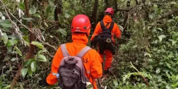 Relawan Temui Kejanggalan Saat Pencarian Syafiq Ali di Gunung Slamet