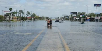 Trump Tarik AS dari 66 Organisasi Dunia: Apa Dampak Bagi Dunia?