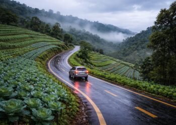 Ngeden di Tanjakan Basah? Ini Sains, Psikologi, dan Tips Aman Buat Mobilmu