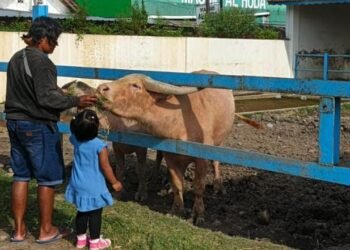 Wisata Murah di Solo yang Diam-Diam Bangun Empati Anak