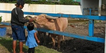 Wisata Murah di Solo yang Diam-Diam Bangun Empati Anak