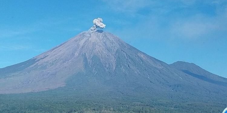 Level Siaga! Semeru Meletus Pagi Ini, Warga Kaki Gunung Harus Waspada
