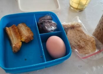 Menu MBG Kering Diprotes, Transparansi Harga Jadi Sorotan