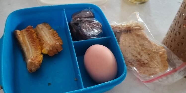 Menu MBG Kering Diprotes, Transparansi Harga Jadi Sorotan