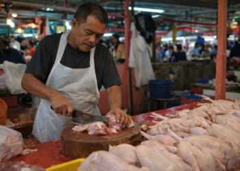 Antara Data dan Realita, Harga Ayam Mulai Naik Jelang Ramadhan