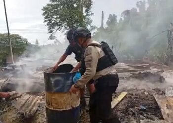 Dua Tewas, 198 Pekerja Angkat Kaki: Tambang Emas Nabire Kembali Memanas