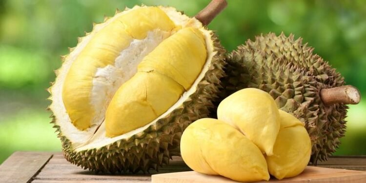 Mitos atau Fakta? Menkes Ungkap Risiko Kombinasi Sate dan Durian