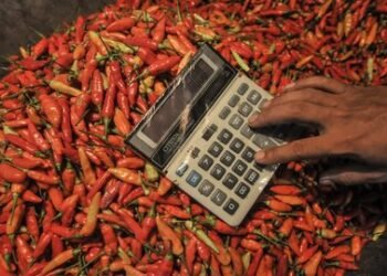 Harga Cabai Rawit Naik ke Rp63 Ribu, 189 Daerah Alami Lonjakan