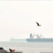 Iran Perketat Selat Hormuz, Sinyal Keras ke AS di Tengah Latihan Militer