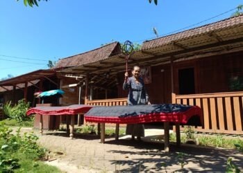 Mepe Kasur: Strategi Budaya Osing Merawat Identitas di Era Modern