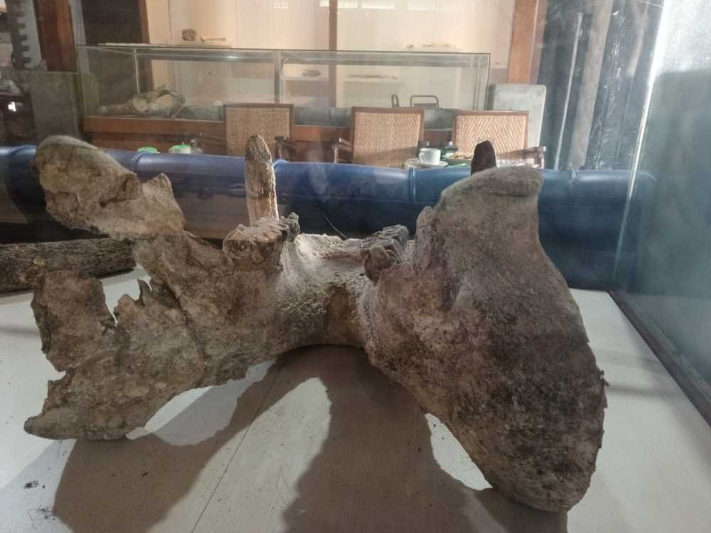 Museum Purabaya, Jejak Lama yang Tetap Menyala