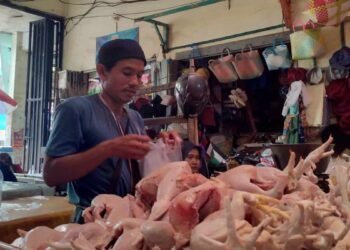 Lonjakan Harga Cabai Rawit dan Ayam Warnai Pergerakan Pangan Nasional