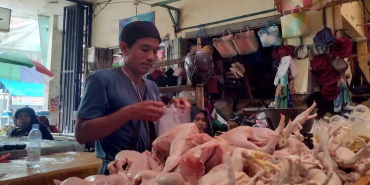 Lonjakan Harga Cabai Rawit dan Ayam Warnai Pergerakan Pangan Nasional