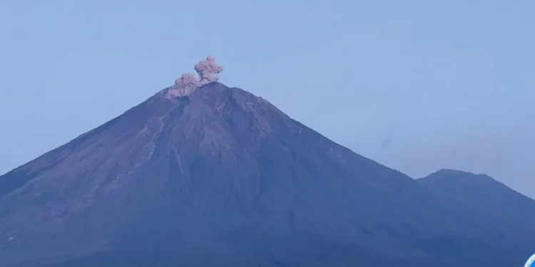 Semeru Empat Kali Erupsi Pagi Ini, Warga Diminta Jauhi Radius Bahaya