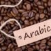 Kopi Arabika Terancam: Krisis Iklim Mulai Menyeduh, Masa Depan Pahit?