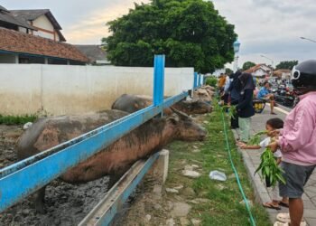 Tak Ada di Kota Lain: Tradisi Ngabuburit Unik di Alkid Solo