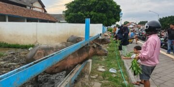 Tak Ada di Kota Lain: Tradisi Ngabuburit Unik di Alkid Solo