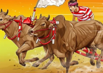 Karapan Sapi: Debu, Doa, dan Harga Diri di Garis 100 Meter