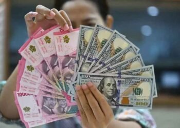 Cadangan Devisa Turun Tipis, Bank Indonesia Pastikan Ekonomi Tetap Stabil