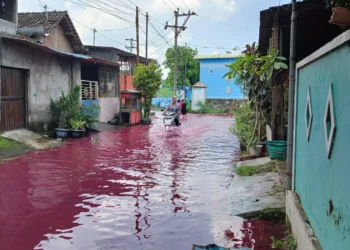 Banjir Merah di Solo Bukan Kebetulan, Ini Akumulasi Kelalaian