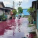 Banjir Merah di Solo Bukan Kebetulan, Ini Akumulasi Kelalaian
