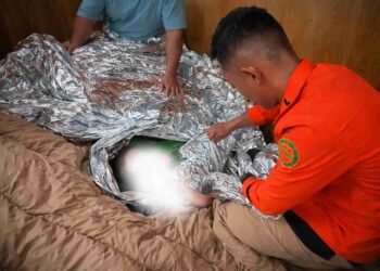 Bayi 1,5 Tahun Dibawa Naik Gunung: FOMO atau Salah Baca Risiko?