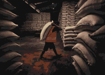 Stok Beras Aman 11 Bulan, Tapi El Nino dan Krisis Energi Mengintai?