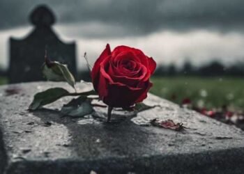 Dari Abu ke Tanah Subur: Industri Duka Masuk Era Teknologi Hijau