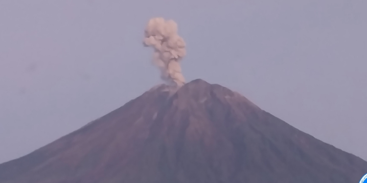 Semeru Erupsi Lagi: Antara Imbauan, Ketakutan, dan Nasib Warga Lereng