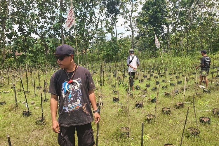 Petani Punk, Teknologi Alam, dan Masa Depan yang Sedang Ditanam