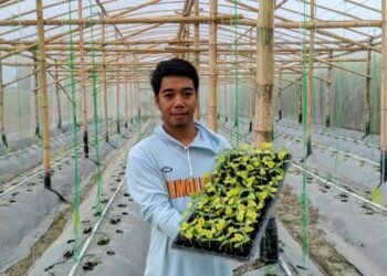 Bertani Tapi High-Tech: Gaya Hidup Baru Gen Z yang Capek Kantoran?